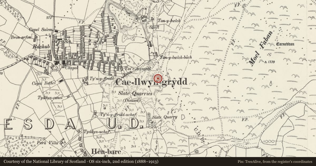 Ordnance Survey six-inch map, 2nd edition (1888–1913) covering the location of Fortified Hut Settlement above Rachub, Llanllechid, Gwynedd, with a pin at the register's coordinates