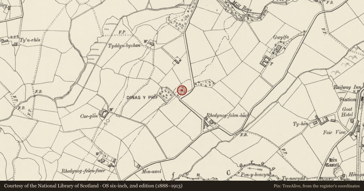 Ordnance Survey six-inch map, 2nd edition (1888–1913) covering the location of Hut Circle Settlement East of Dinas-y-Prif, Llanwnda, Gwynedd, with a pin at the register's coordinates