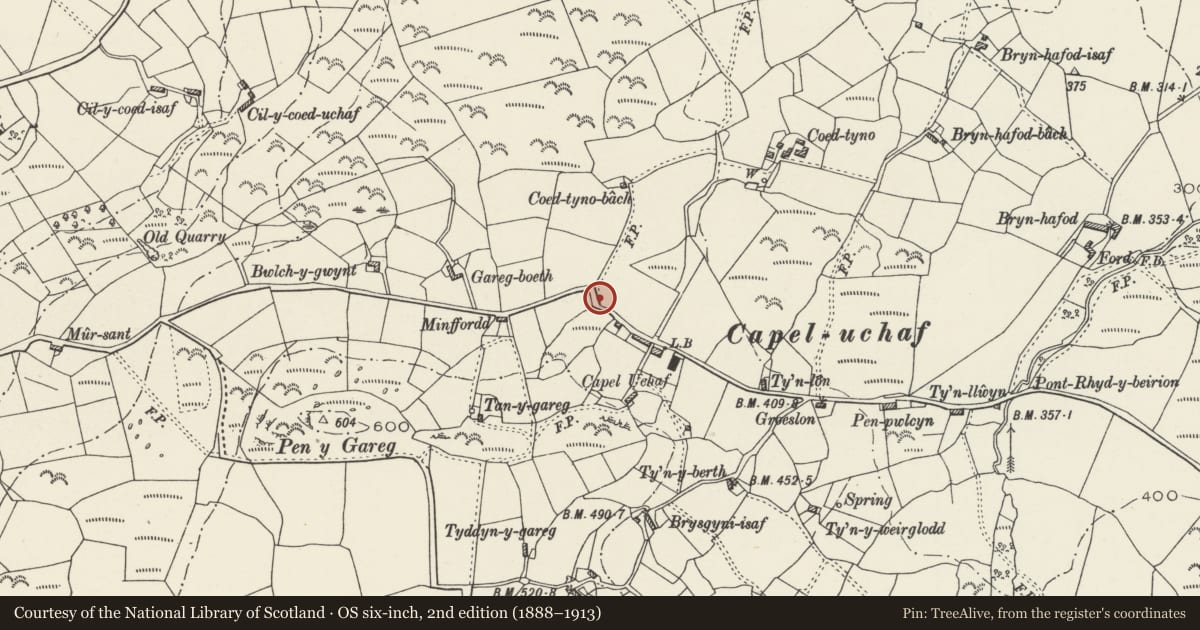 Ordnance Survey six-inch map, 2nd edition (1888–1913) covering the location of Cross Inscribed Stone Near Capel Uchaf, Clynnog, Gwynedd, with a pin at the register's coordinates