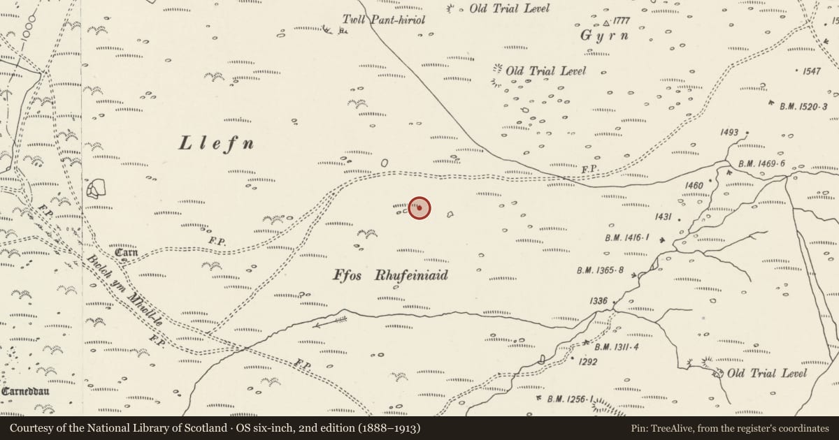 Ordnance Survey six-inch map, 2nd edition (1888–1913) covering the location of Hut Circle Settlement in Cwm Ffridlas, Llanllechid, Gwynedd, with a pin at the register's coordinates