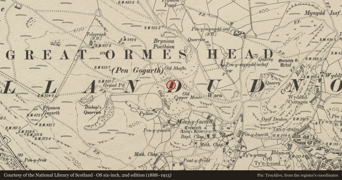 Ordnance Survey six-inch map, 2nd edition (1888–1913) covering the location of Great Orme Copper Mines, Llandudno, Conwy, with a pin at the register's coordinates