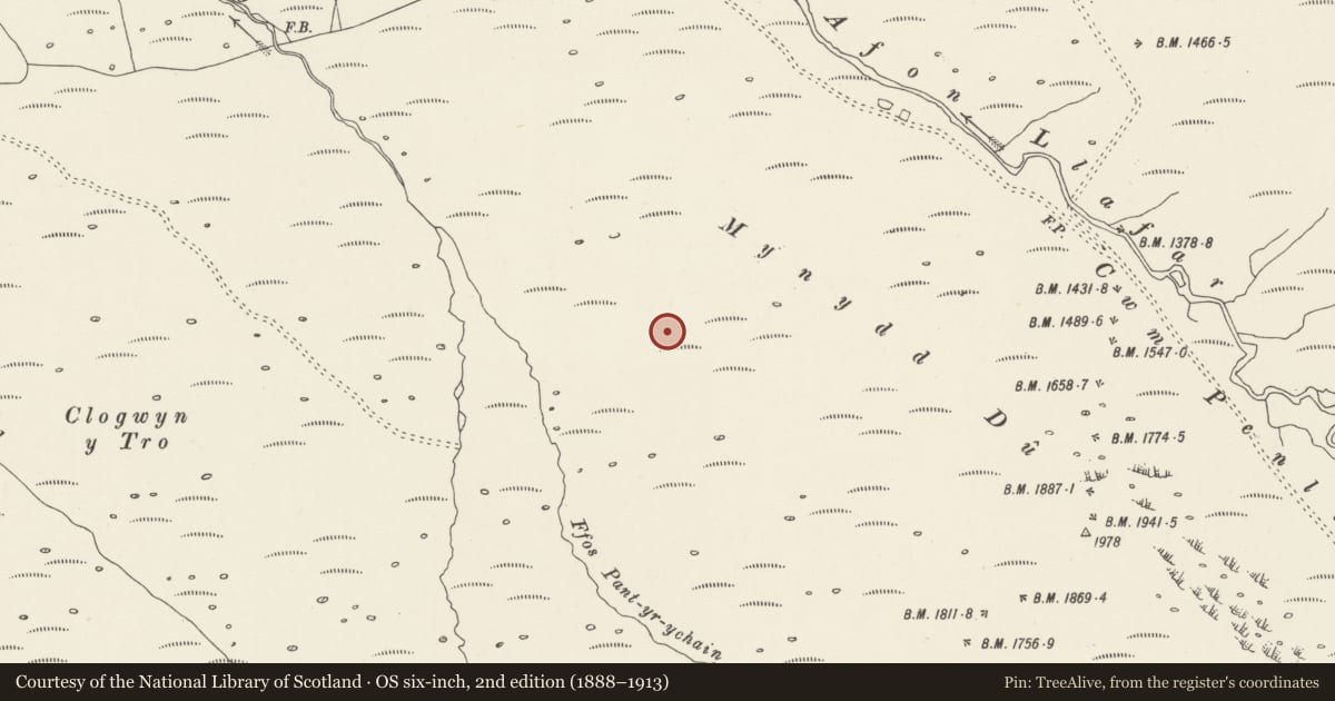 Ordnance Survey six-inch map, 2nd edition (1888–1913) covering the location of Hut Circle Settlement on Mynydd Du, Llanllechid, Gwynedd, with a pin at the register's coordinates