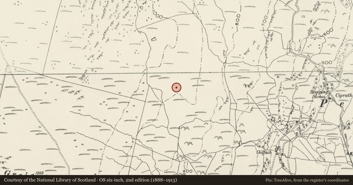 Ordnance Survey six-inch map, 2nd edition (1888–1913) covering the location of Hut Circle Settlement Above Gilfach, Dolbenmaen, Gwynedd, with a pin at the register's coordinates