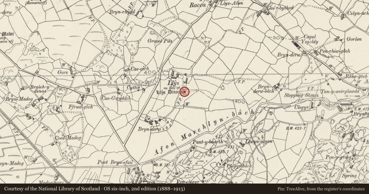 Ordnance Survey six-inch map, 2nd edition (1888–1913) covering the location of Llys Dinorwig, Llanddeiniolen, Gwynedd, with a pin at the register's coordinates
