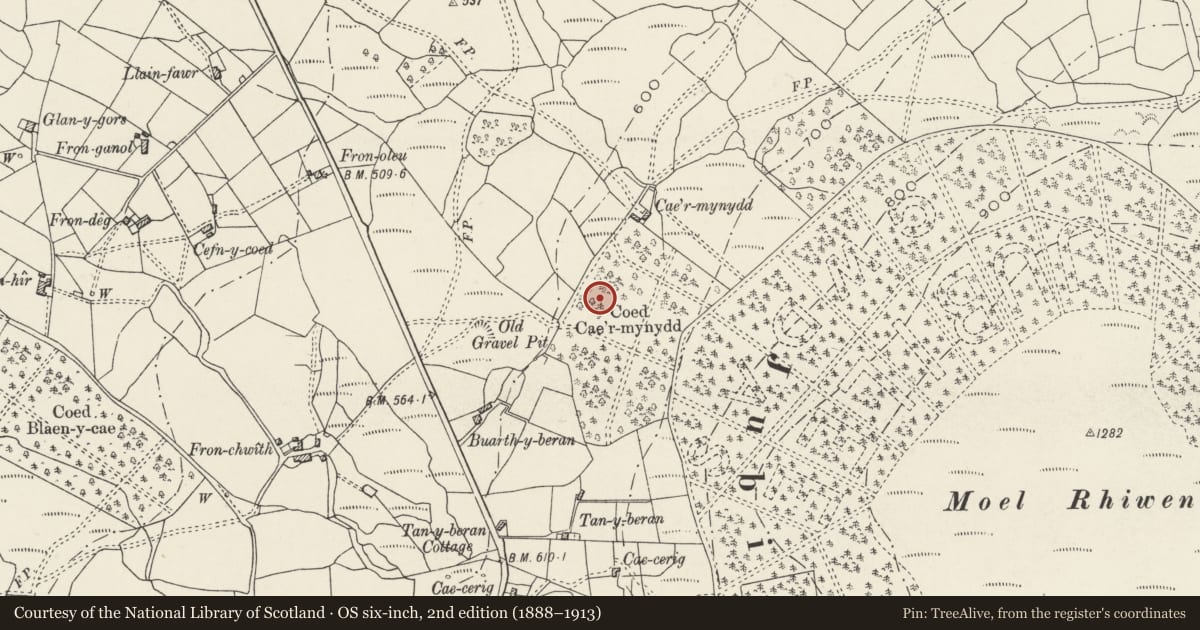 Ordnance Survey six-inch map, 2nd edition (1888–1913) covering the location of Enclosed Hut Group South West of Cae'r Mynydd, Llanddeiniolen, Gwynedd, with a pin at the register's coordinates