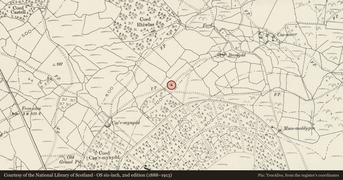 Ordnance Survey six-inch map, 2nd edition (1888–1913) covering the location of Enclosed Hut Group SW of Bronydd, Llanddeiniolen, Gwynedd, with a pin at the register's coordinates