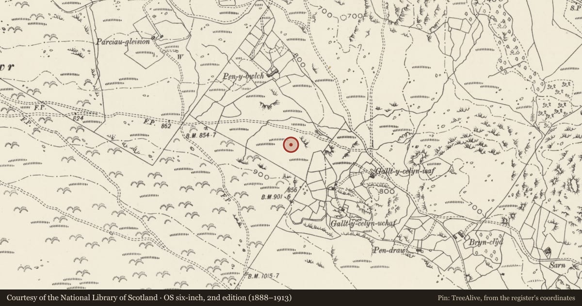 Ordnance Survey six-inch map, 2nd edition (1888–1913) covering the location of Hut Group, Near Galltycelyn, S of Cwm-y-Glo, Llanrug, Gwynedd, with a pin at the register's coordinates