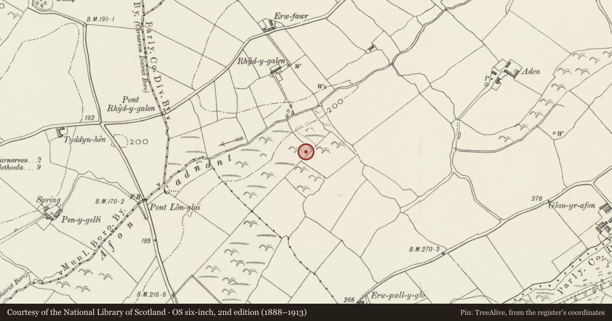 Ordnance Survey six-inch map, 2nd edition (1888–1913) covering the location of Hut Circle South of Rhyd y Galen, Pont-Rug, Llanddeiniolen, Gwynedd, with a pin at the register's coordinates