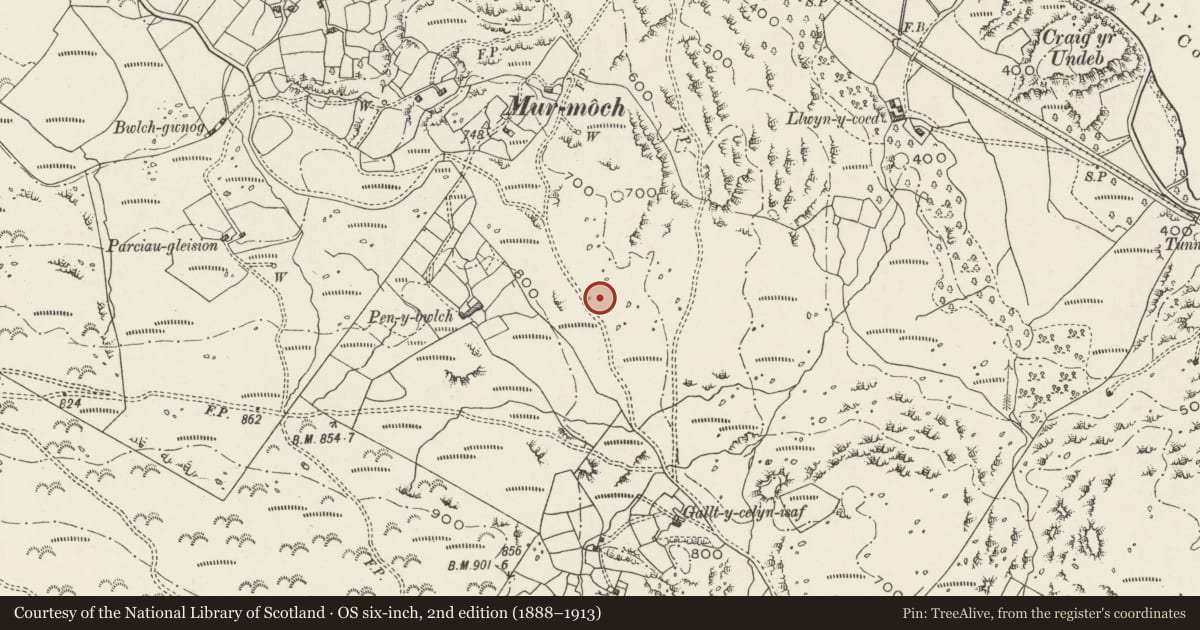 Ordnance Survey six-inch map, 2nd edition (1888–1913) covering the location of Hut and Enclosure Near Mur-Moch, Llanrug, Gwynedd, with a pin at the register's coordinates