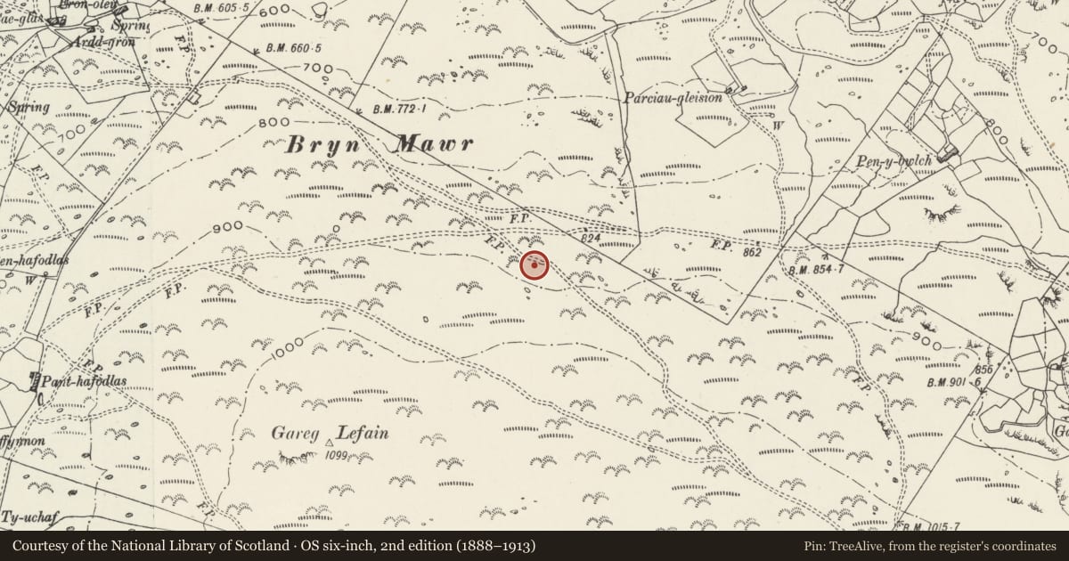 Ordnance Survey six-inch map, 2nd edition (1888–1913) covering the location of Hut Circles NE of Garreg Lefain, Llanrug, Gwynedd, with a pin at the register's coordinates