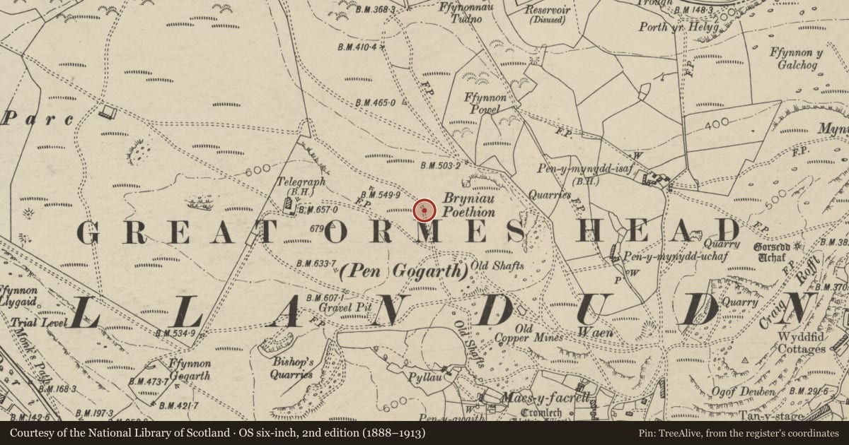 Ordnance Survey six-inch map, 2nd edition (1888–1913) covering the location of Hut Circle, Bryniau Poethion, Great Orme, Llandudno, Conwy, with a pin at the register's coordinates