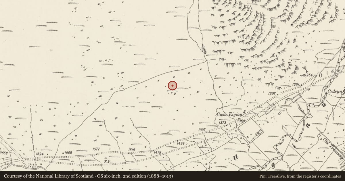 Ordnance Survey six-inch map, 2nd edition (1888–1913) covering the location of Settlement, N of Cwm Eigiau, Caerhun, Conwy, with a pin at the register's coordinates