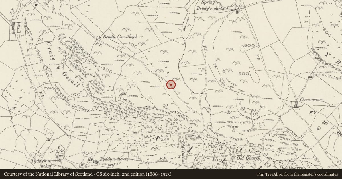Ordnance Survey six-inch map, 2nd edition (1888–1913) covering the location of Hut Circles near Craig y Gesail, Dolbenmaen, Gwynedd, with a pin at the register's coordinates