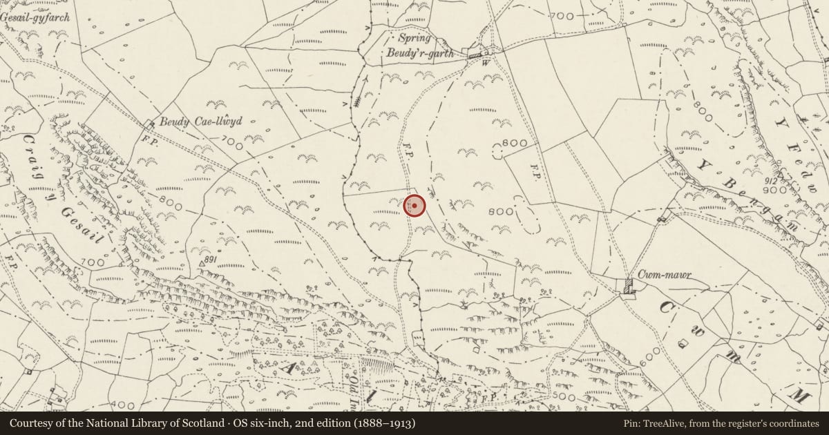 Ordnance Survey six-inch map, 2nd edition (1888–1913) covering the location of Hut Group West of Cwm Mawr, Dolbenmaen, Gwynedd, with a pin at the register's coordinates