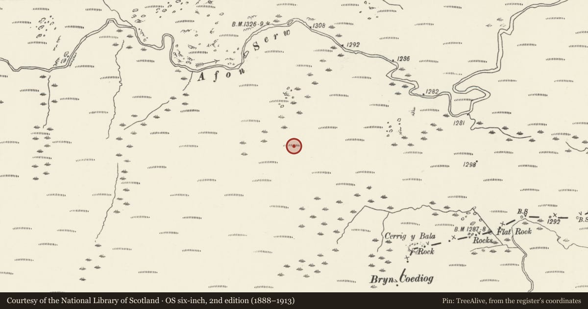 Ordnance Survey six-inch map, 2nd edition (1888–1913) covering the location of Hut group SSW of Cefngarw, Ysbyty, Ysbyty Ifan, Conwy, with a pin at the register's coordinates