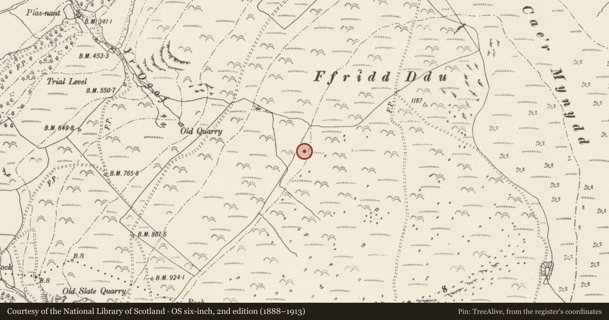 Ordnance Survey six-inch map, 2nd edition (1888–1913) covering the location of Settlement Above Ffridd Ddu, Aber, Gwynedd, with a pin at the register's coordinates