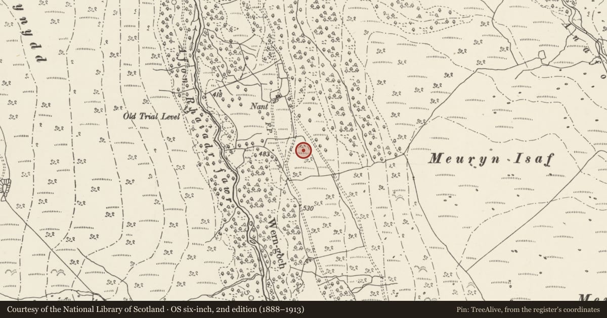 Ordnance Survey six-inch map, 2nd edition (1888–1913) covering the location of Hut circle East of Afon Rhaeadr Fawr, Aber, Gwynedd, with a pin at the register's coordinates