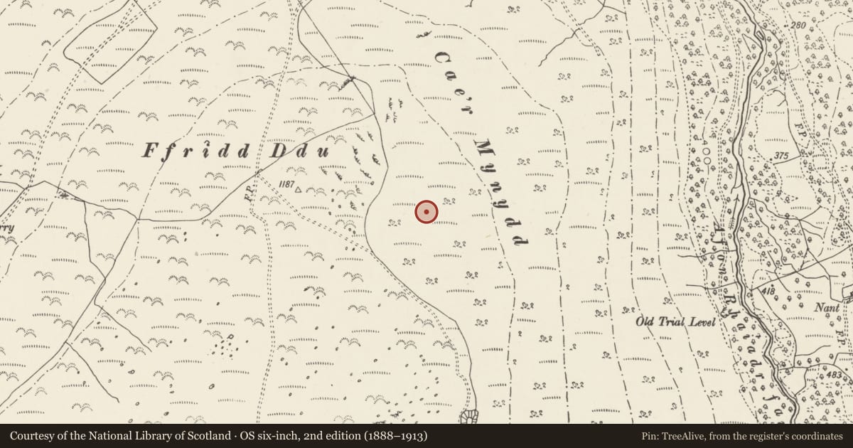Ordnance Survey six-inch map, 2nd edition (1888–1913) covering the location of Hut Circle Settlement on Caer Mynydd, Aber, Gwynedd, with a pin at the register's coordinates