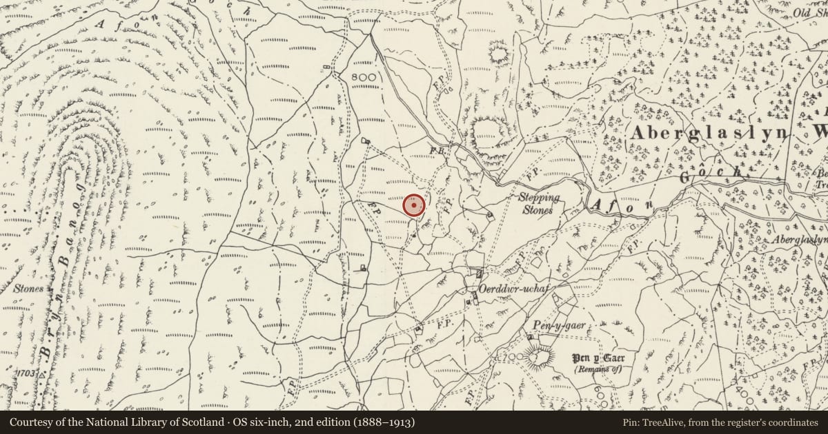 Ordnance Survey six-inch map, 2nd edition (1888–1913) covering the location of Hut circle settlement near Oerddwr Uchaf, Beddgelert, Gwynedd, with a pin at the register's coordinates