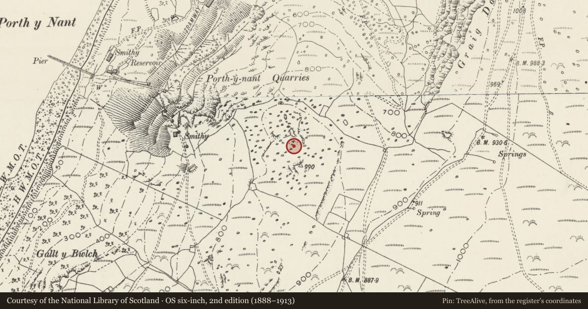 Ordnance Survey six-inch map, 2nd edition (1888–1913) covering the location of Hut Circles and Enclosure NW of Mount Pleasant, Pistyll, Gwynedd, with a pin at the register's coordinates