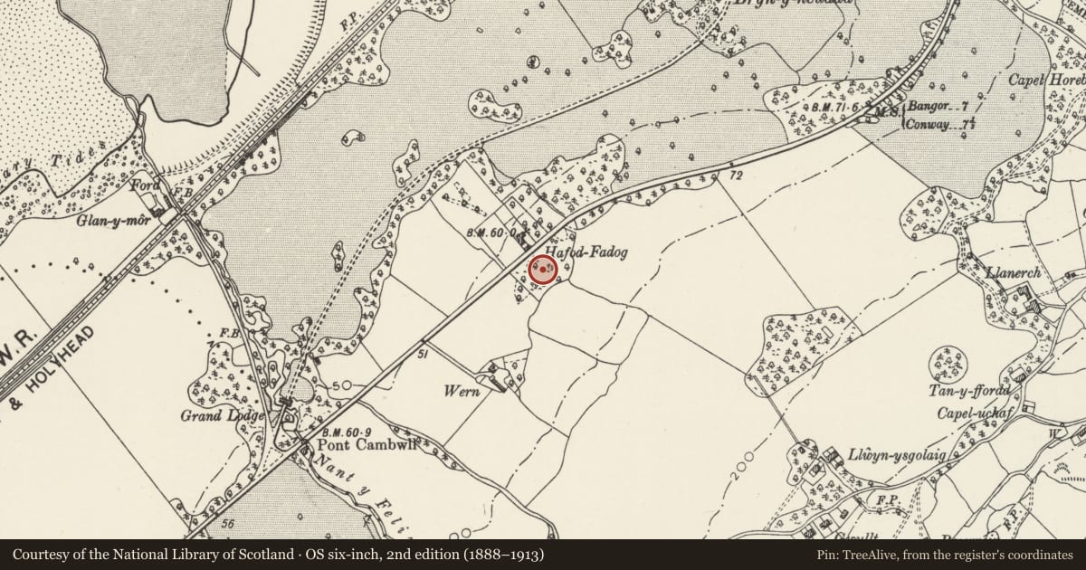 Ordnance Survey six-inch map, 2nd edition (1888–1913) covering the location of Hut Circles near Wern Newydd, Llanfairfechan, Conwy, with a pin at the register's coordinates