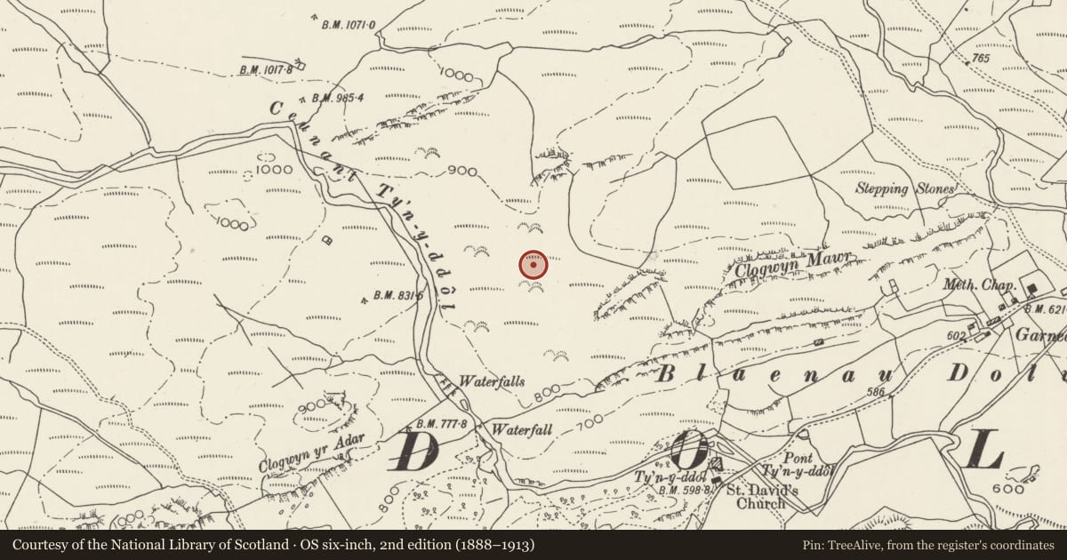Ordnance Survey six-inch map, 2nd edition (1888–1913) covering the location of Hut circles NW of Tyn-y-Ddol, Dolwyddelan, Conwy, with a pin at the register's coordinates