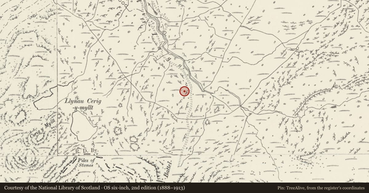 Ordnance Survey six-inch map, 2nd edition (1888–1913) covering the location of Hut Circle Settlement in Cwm Gelli Iago (South), Beddgelert, Gwynedd, with a pin at the register's coordinates