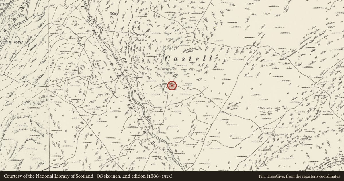 Ordnance Survey six-inch map, 2nd edition (1888–1913) covering the location of Hut Circle Settlement in Cwm Gelli Iago (North), Beddgelert, Gwynedd, with a pin at the register's coordinates