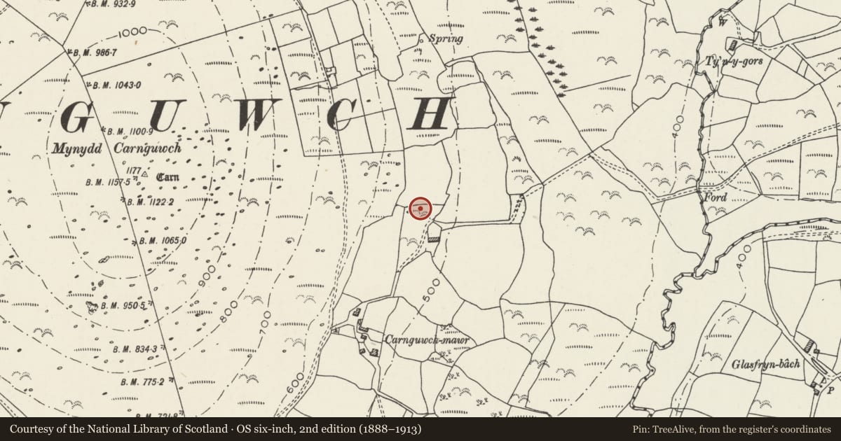 Ordnance Survey six-inch map, 2nd edition (1888–1913) covering the location of Hut Group North-East of Carnguwch Fawr, Pistyll, Gwynedd, with a pin at the register's coordinates