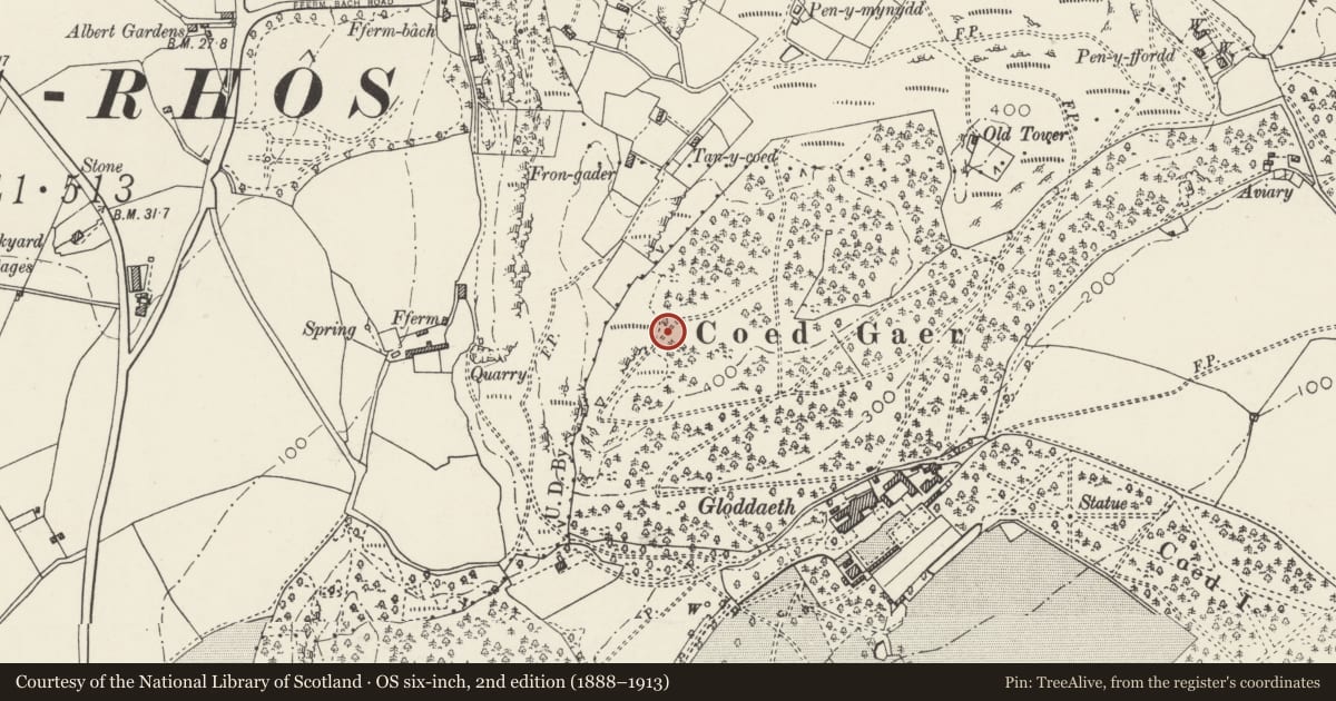 Ordnance Survey six-inch map, 2nd edition (1888–1913) covering the location of Coed Gaer Hut Circle, Llandudno, Conwy, with a pin at the register's coordinates