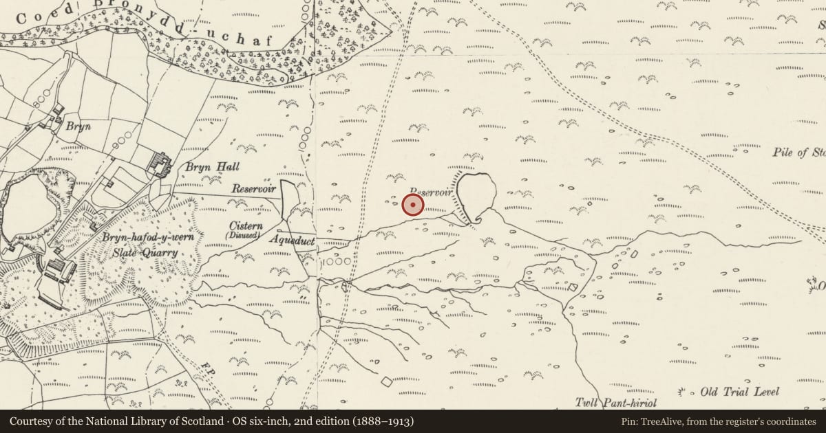 Ordnance Survey six-inch map, 2nd edition (1888–1913) covering the location of Hut Circle Settlement East of Bryn Hall, Llanllechid, Gwynedd, with a pin at the register's coordinates