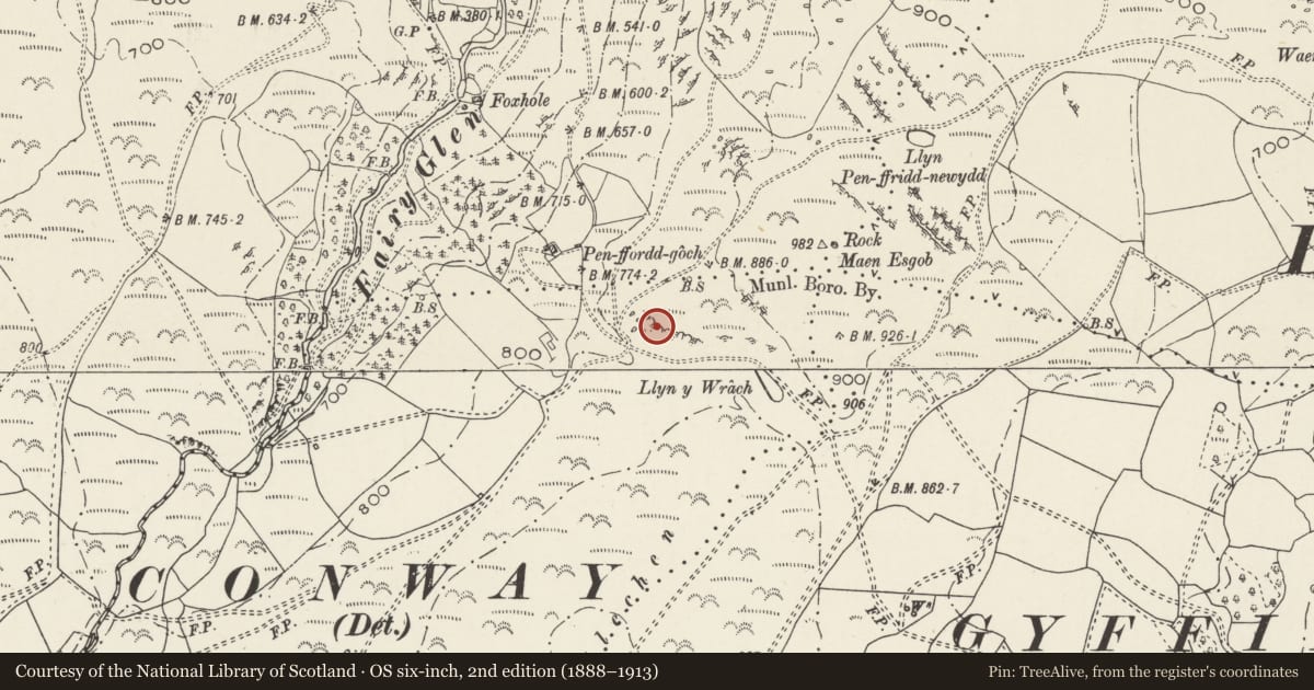 Ordnance Survey six-inch map, 2nd edition (1888–1913) covering the location of Ring Cairn North-West of Llyn y Wrach, Henryd, Conwy, with a pin at the register's coordinates