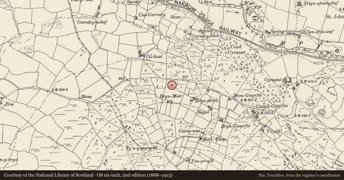 Ordnance Survey six-inch map, 2nd edition (1888–1913) covering the location of Hut Circle Settlement North of Bryn Mair, Betws Garmon, Gwynedd, with a pin at the register's coordinates