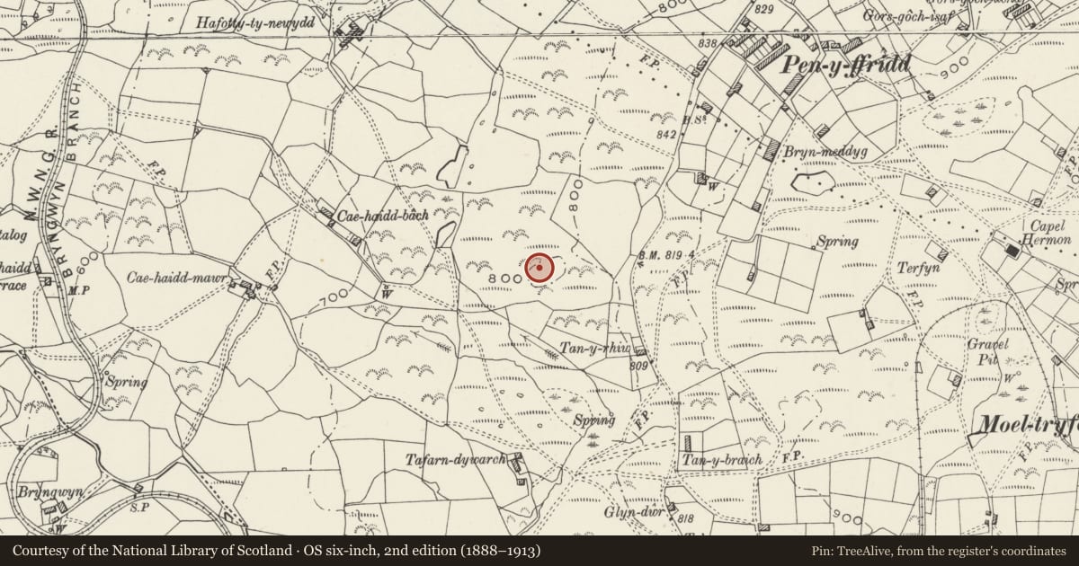 Ordnance Survey six-inch map, 2nd edition (1888–1913) covering the location of Enclosed Hut Circle North-West of Tan Rhiw, Llanwnda, Gwynedd, with a pin at the register's coordinates