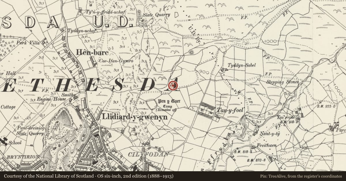Ordnance Survey six-inch map, 2nd edition (1888–1913) covering the location of Hut Circle Settlement at Ffos Coetmor, Bethesda, Gwynedd, with a pin at the register's coordinates