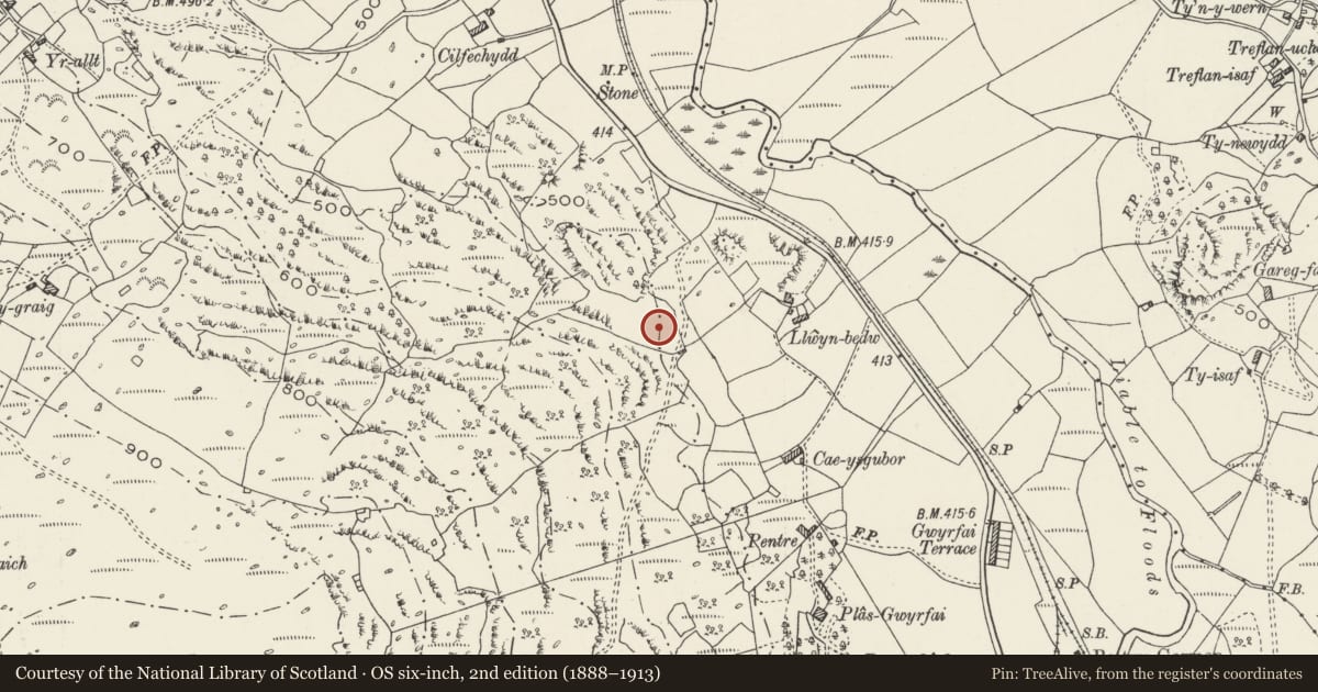 Ordnance Survey six-inch map, 2nd edition (1888–1913) covering the location of Enclosed Hut Circle West of Llwyn Bedw, Betws Garmon, Gwynedd, with a pin at the register's coordinates