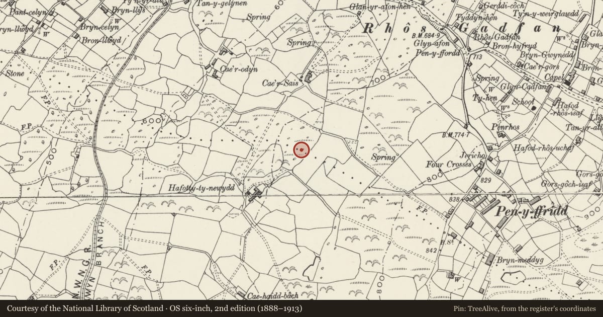 Ordnance Survey six-inch map, 2nd edition (1888–1913) covering the location of Hut Circle South of Cae'r Sais, Llanwnda, Gwynedd, with a pin at the register's coordinates