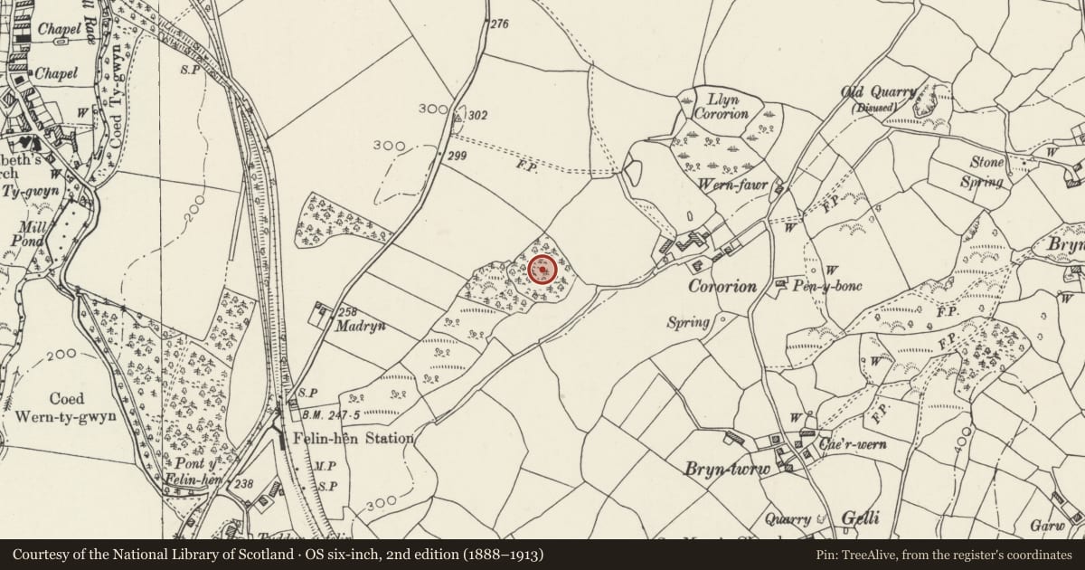 Ordnance Survey six-inch map, 2nd edition (1888–1913) covering the location of Enclosed Hut Circle Settlement at Cororion Rough, Llandygai, Gwynedd, with a pin at the register's coordinates