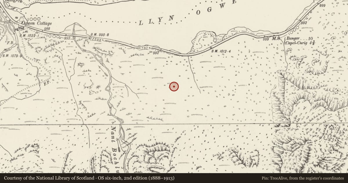 Ordnance Survey six-inch map, 2nd edition (1888–1913) covering the location of Hut Circle Settlement at Nant Bochllwyd, Capel Curig, Conwy, with a pin at the register's coordinates