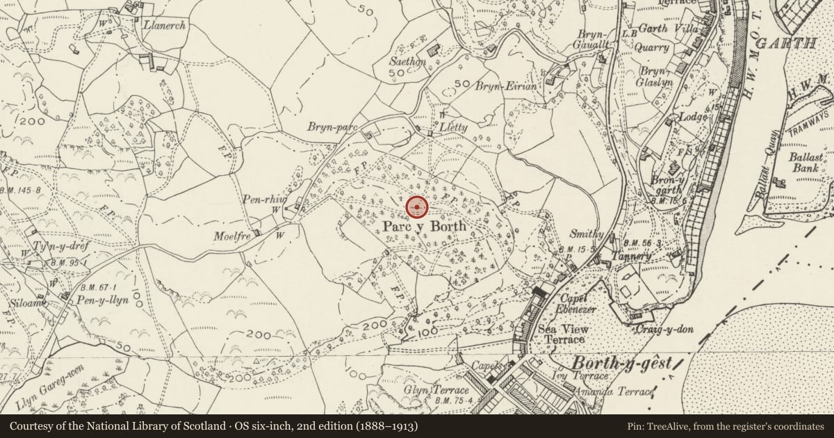 Ordnance Survey six-inch map, 2nd edition (1888–1913) covering the location of Enclosed Hut Group in Parc-y-Borth, Porthmadog, Gwynedd, with a pin at the register's coordinates
