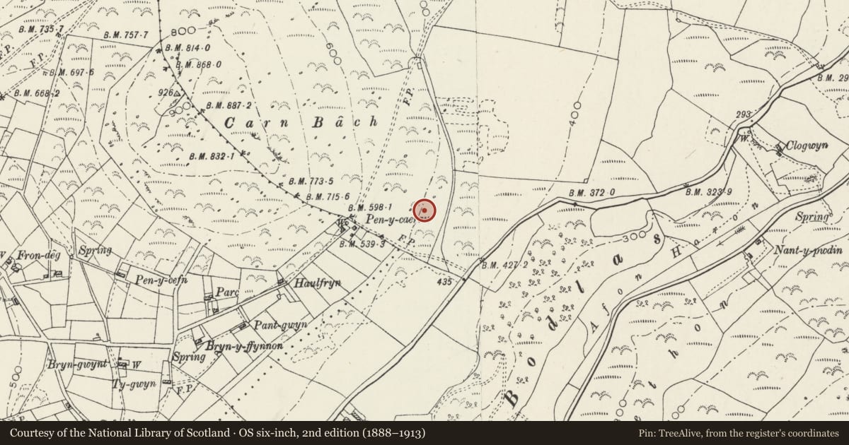 Ordnance Survey six-inch map, 2nd edition (1888–1913) covering the location of Hut Circle Settlement at Pen-y-Caerau, Buan, Gwynedd, with a pin at the register's coordinates