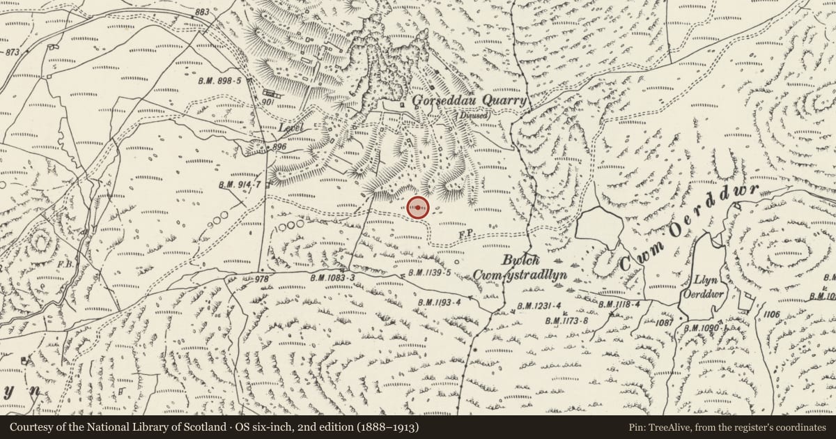 Ordnance Survey six-inch map, 2nd edition (1888–1913) covering the location of Hut Circle Settlement at Bwlch Cwm Ystradllyn, Dolbenmaen, Gwynedd, with a pin at the register's coordinates