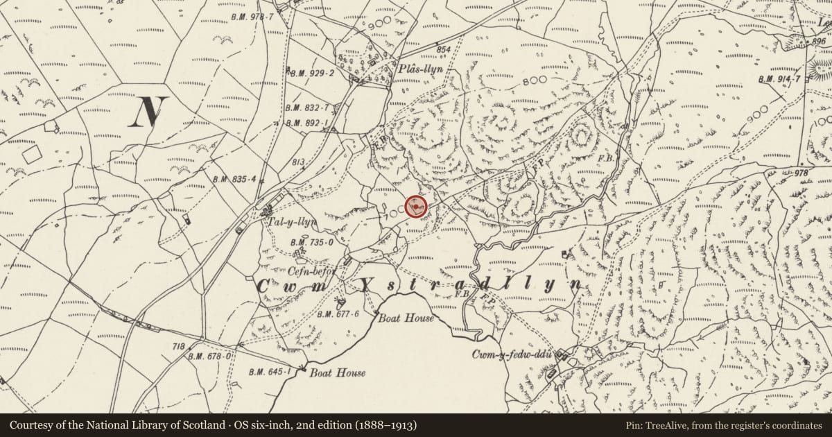 Ordnance Survey six-inch map, 2nd edition (1888–1913) covering the location of Hut Circle Settlement East of Cefn Bifor, Dolbenmaen, Gwynedd, with a pin at the register's coordinates