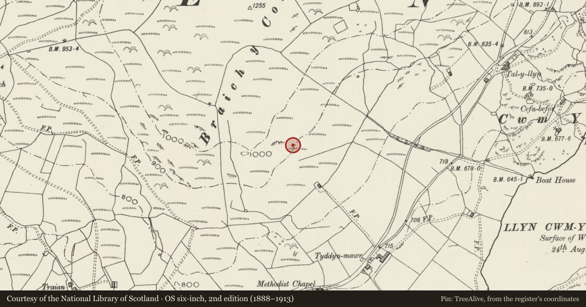 Ordnance Survey six-inch map, 2nd edition (1888–1913) covering the location of Braich y Cornel Hut Circle Settlement and Field System, Dolbenmaen, Gwynedd, with a pin at the register's coordinates