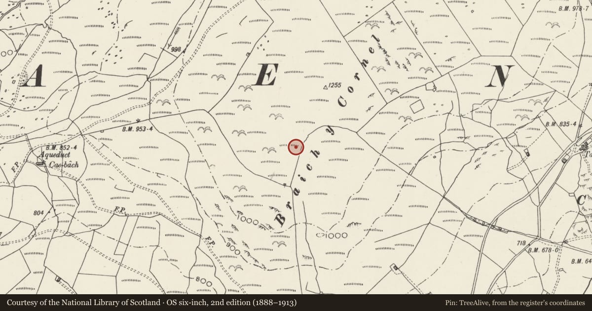 Ordnance Survey six-inch map, 2nd edition (1888–1913) covering the location of Hut Circles at Braich y Cornel, Dolbenmaen, Gwynedd, with a pin at the register's coordinates