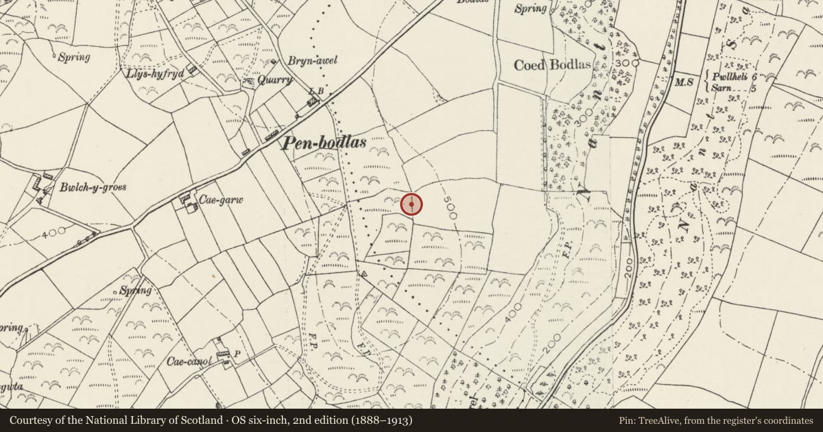 Ordnance Survey six-inch map, 2nd edition (1888–1913) covering the location of Enclosed Hut Group South of Penbodlas, Buan, Gwynedd, with a pin at the register's coordinates