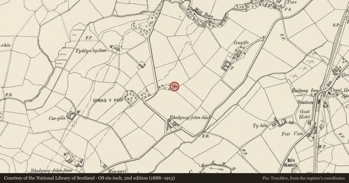 Ordnance Survey six-inch map, 2nd edition (1888–1913) covering the location of Enclosed Hut Circle Settlement North of Rhedynog Felen Bach, Llanwnda, Gwynedd, with a pin at the register's coordinates