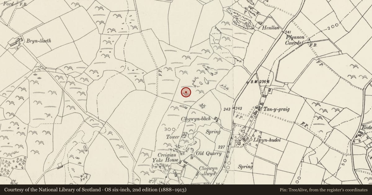 Ordnance Survey six-inch map, 2nd edition (1888–1913) covering the location of Enclosed Hut Group at Clogwyn Bach, Pwllheli, Gwynedd, with a pin at the register's coordinates