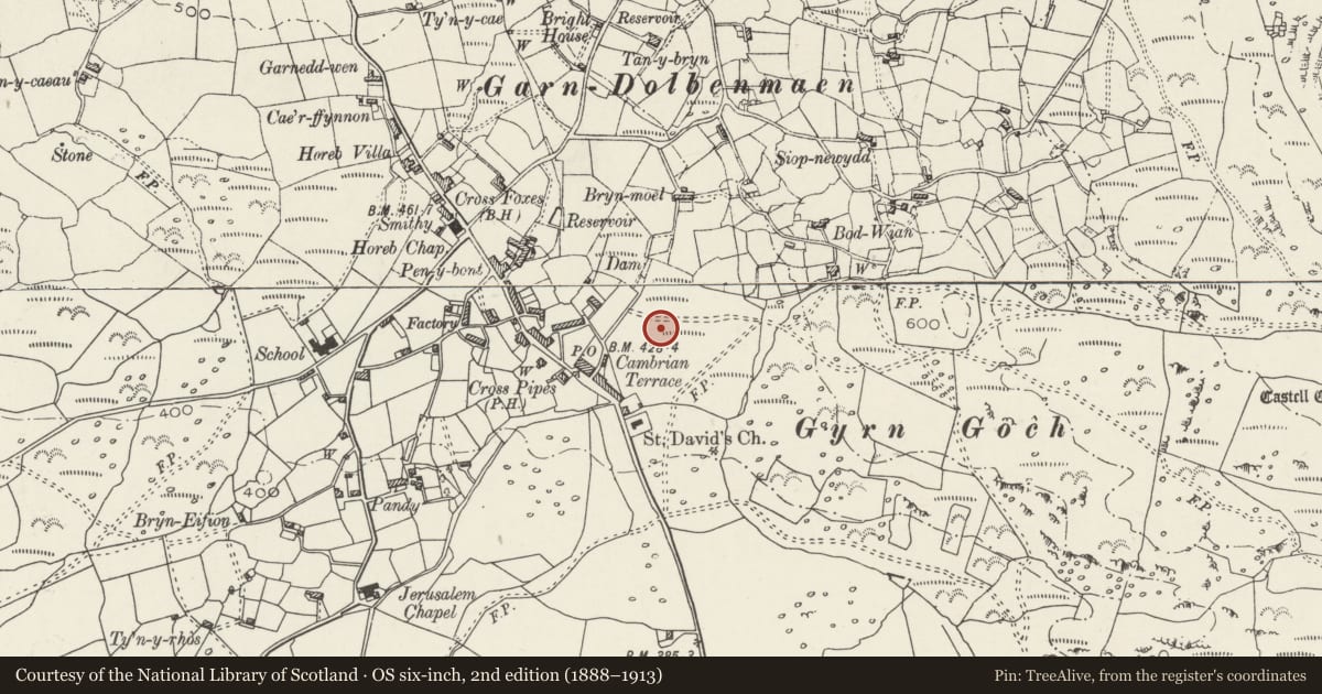 Ordnance Survey six-inch map, 2nd edition (1888–1913) covering the location of Hut Circle East of Taleifion, Dolbenmaen, Gwynedd, with a pin at the register's coordinates