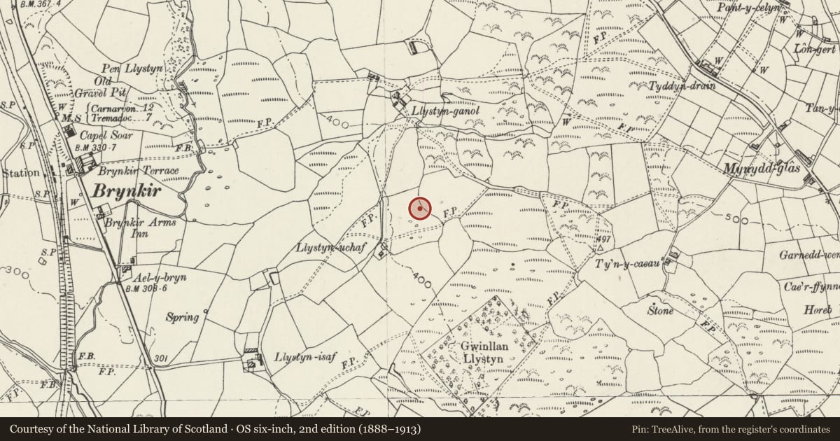 Ordnance Survey six-inch map, 2nd edition (1888–1913) covering the location of Enclosed Hut Group North-East of Llystyn Uchaf, Dolbenmaen, Gwynedd, with a pin at the register's coordinates